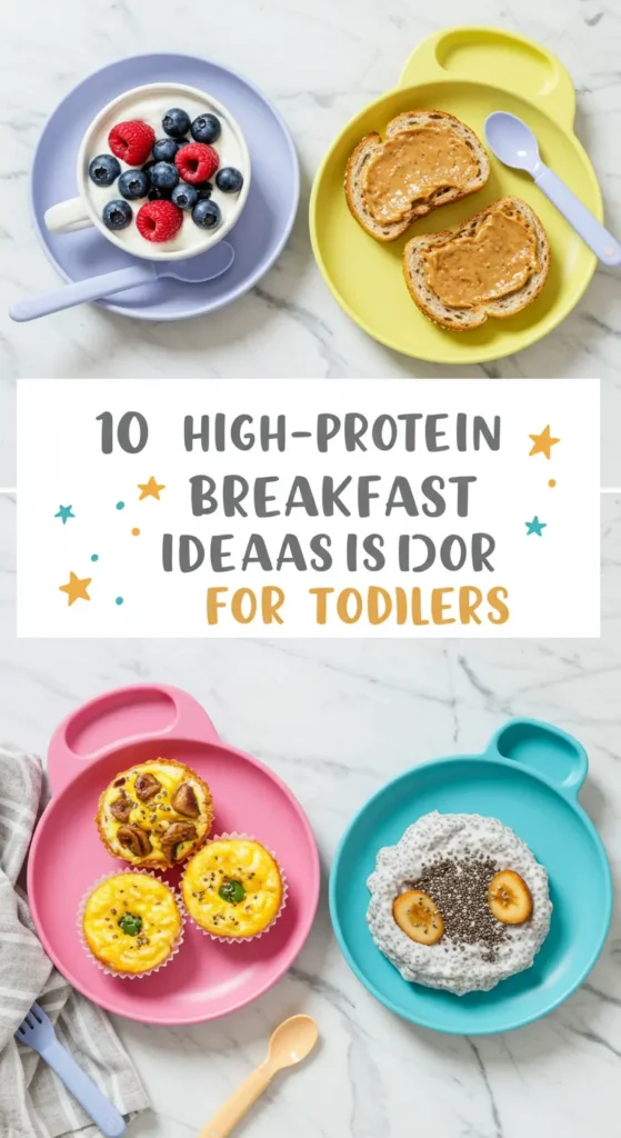 Pinterest vertical image showing 4 high-protein toddler breakfast ideas: yogurt with berries, peanut butter toast, egg muffins, and chia pudding