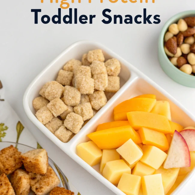 high protein toddler snacks