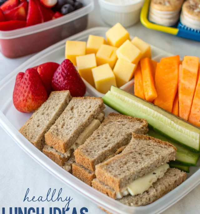 toddler lunch ideas for school preschool